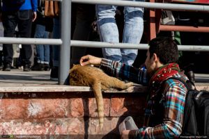 گزارش تصویری دهمین رویداد صبح خلاق تهران با سخنرانی رضا سیاح