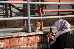 گزارش تصویری دهمین رویداد صبح خلاق تهران با سخنرانی رضا سیاح